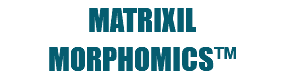 MATRIXIL MORPHOMICS™ 